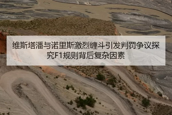 维斯塔潘与诺里斯激烈缠斗引发判罚争议探究F1规则背后复杂因素