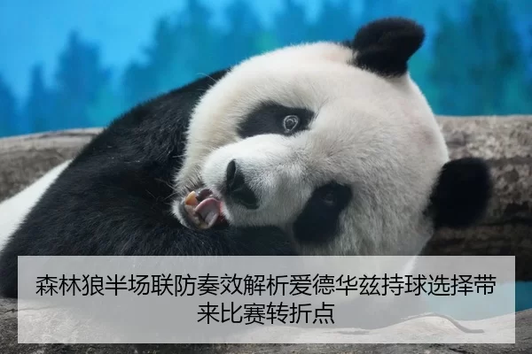 森林狼半场联防奏效解析爱德华兹持球选择带来比赛转折点
