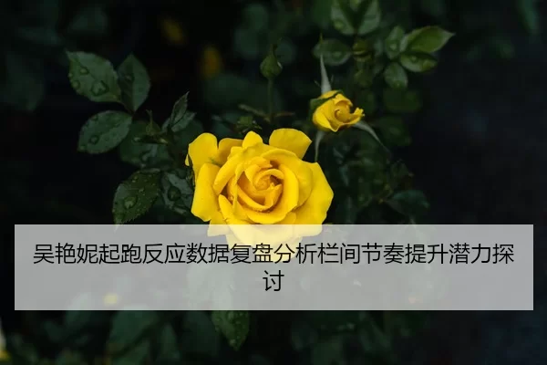 吴艳妮起跑反应数据复盘分析栏间节奏提升潜力探讨
