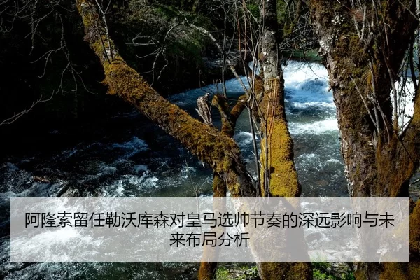 阿隆索留任勒沃库森对皇马选帅节奏的深远影响与未来布局分析