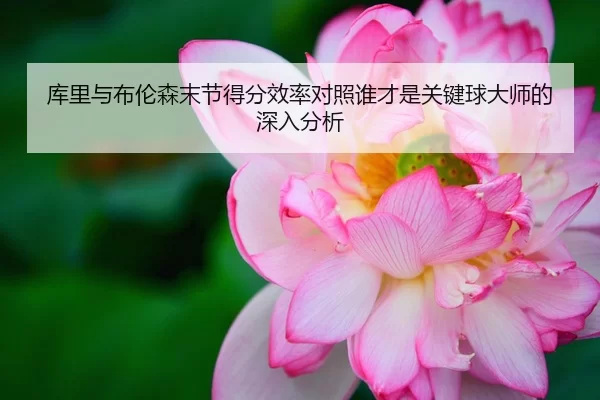 库里与布伦森末节得分效率对照谁才是关键球大师的深入分析