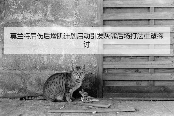 莫兰特肩伤后增肌计划启动引发灰熊后场打法重塑探讨