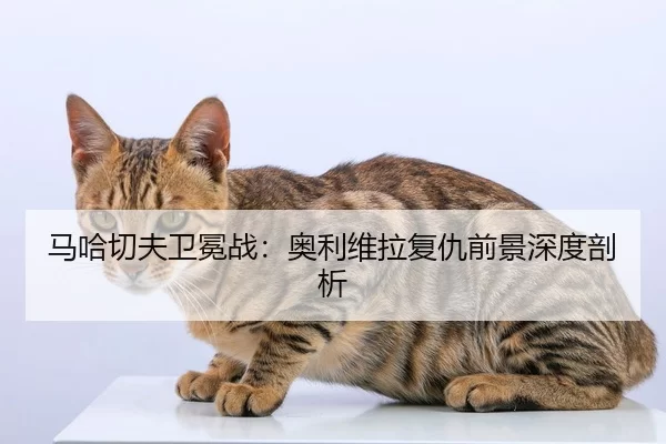 ma-ha-qie-fu-wei-mian-zhan-ao-li-wei-la-fu-chou-qian-jing-shen-du-pou-xi-2-592.jpg