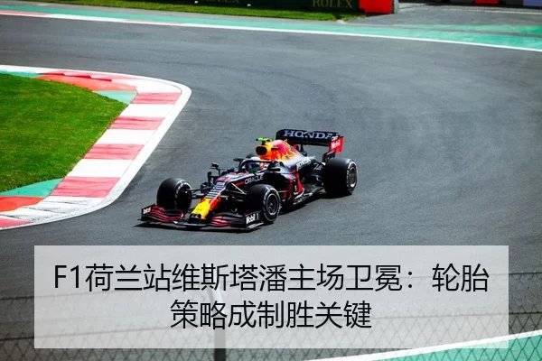 he-lan-zhan-wei-si-ta-pan-zhu-chang-wei-mian-lun-tai-ce-lve-cheng-zhi-sheng-guan-jian-2-992.jpg