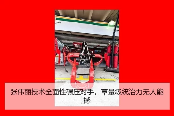 张伟丽技术全面性碾压对手，草量级统治力无人能撼